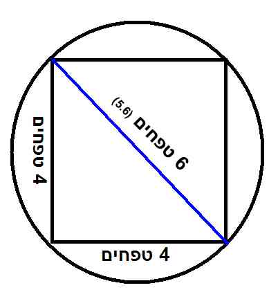 תמונה: רוחב כוורת לעניין הוצאה מרשות לרשות בשבת