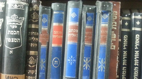 אביעד הר-טוב.jpg