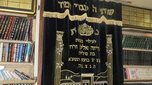 אריה מינקוב (101).JPG