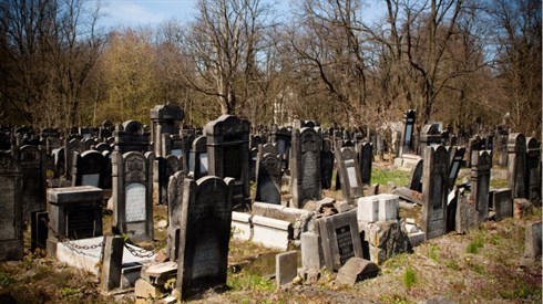 shutterstock_54081205.jpg
