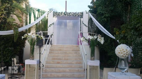 אלישע מינקוב (1).jpg