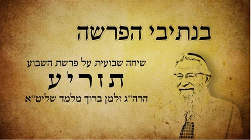 תזריע.jpg