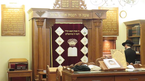 אביעד הר-טוב_0856.JPG