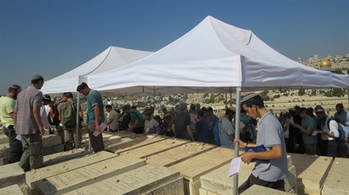 אריה מינקוב (49).JPG