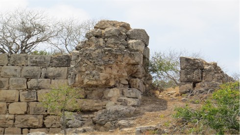 אריה מינקוב &nbsp;טיול (62).JPG