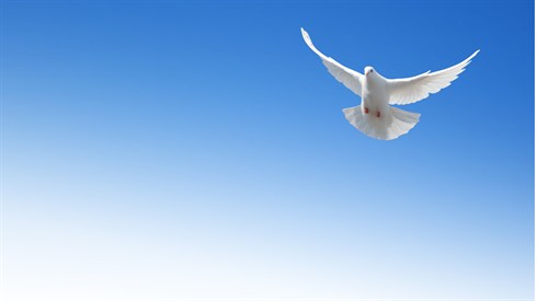 shutterstock_172575812.jpg