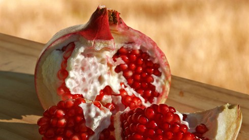 Pomegranate03_edit.jpg