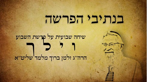 וילך.jpg