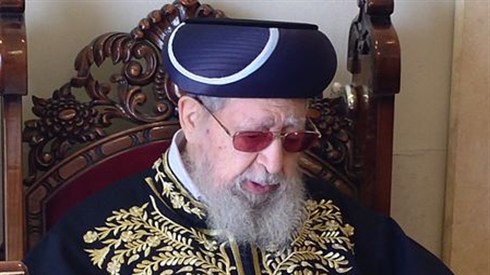 Alloni.JPG