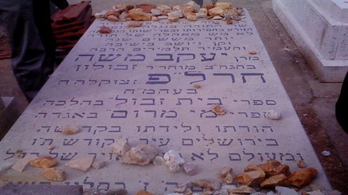 אריאל ביגל1.JPG