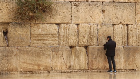 אריה מינקוב (35).JPG
