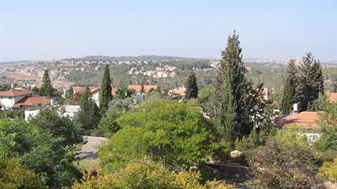 קרדיט נפתלי פרידמן (12).JPG