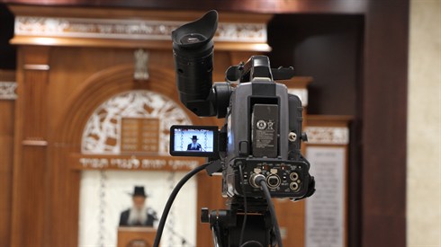 IMG_8209JPG.jpg