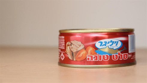 אריה מינקוב (5).JPG