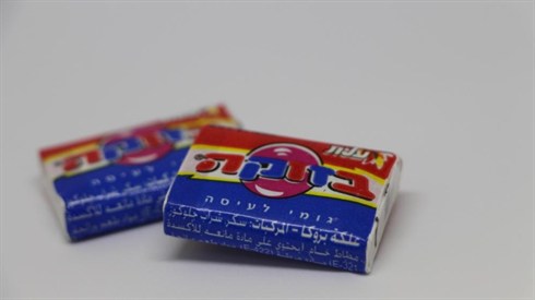 אריה מינקוב.JPG