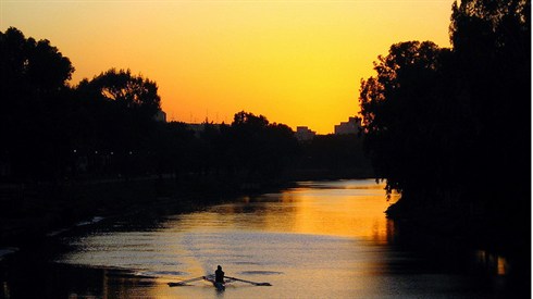 cc-by-RonAlmog.jpg