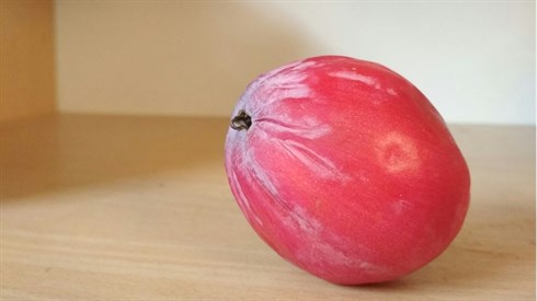 קובו