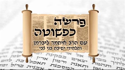 פרשה כפשוטה.jpg