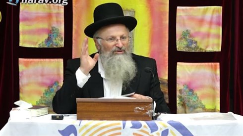 אורות הארי.jpg