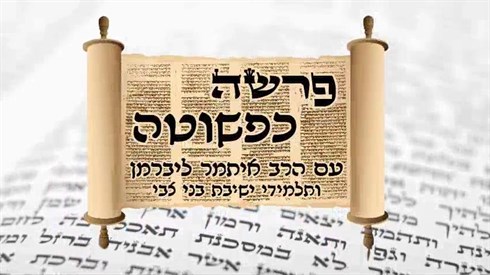 פרשה כפשוטה