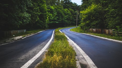 road-forest-trees-way-5967.jpg