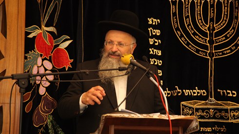 נריה לוי2.JPG