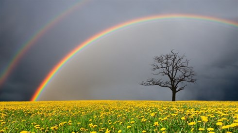 shutterstock_93854536.jpg