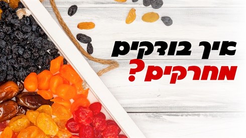 ישיבה 5.jpg
