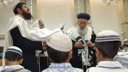 עזרא כהן.JPG