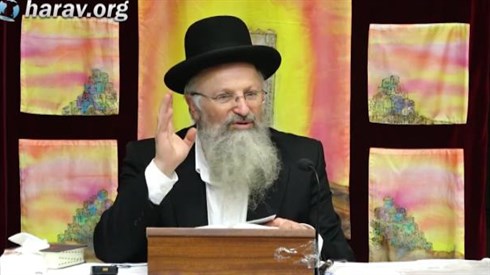 אורות הארי.jpg