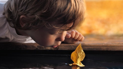 shutterstock_108916853.jpg