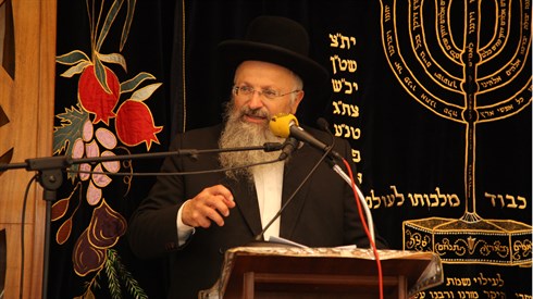 נריה לוי2.JPG