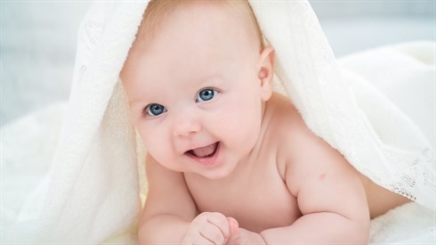 shutterstock_134818691.jpg