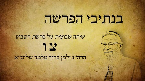 צו.jpg