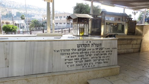 אריה מינקוב (36).JPG