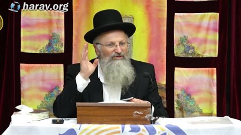 אורות הארי.jpg