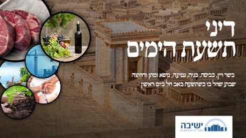 דיני תשעת הימים.jpg