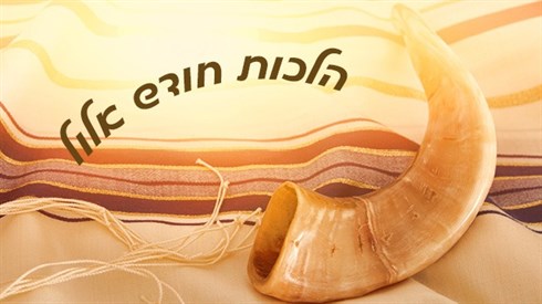 5a9d89ad-7470-43e4-8237-40cbd81b0dd4.jpg