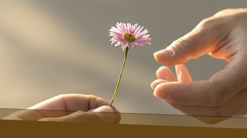 215d11e5-e37c-4524-9c0b-4a9d8e8fa4c0.jpg