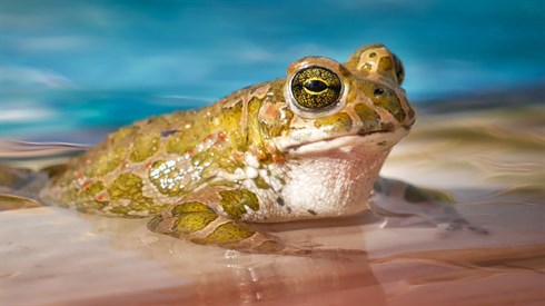 waters-3038803_1920.jpg