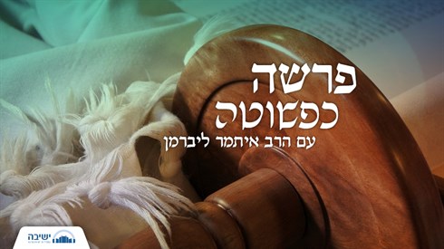 פרשה כפשוטה.JPG