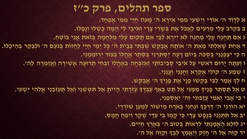 תהילים.jpg
