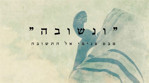 אתר ישיבה / yeshiva.co