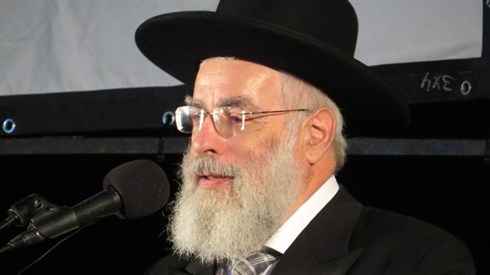 אריה מינקוב (87).JPG