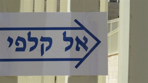 אריה מינקוב (239).JPG