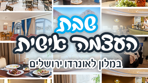לוורדפרס.jpg