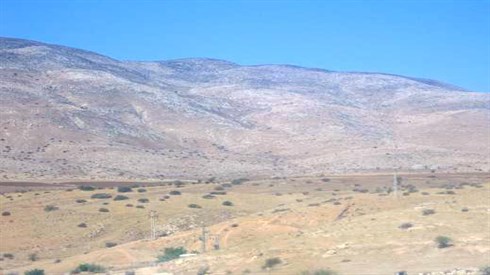 קרדיט נפתלי פרידמן (2).JPG