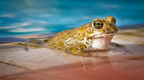 waters-3038803_1920.jpg