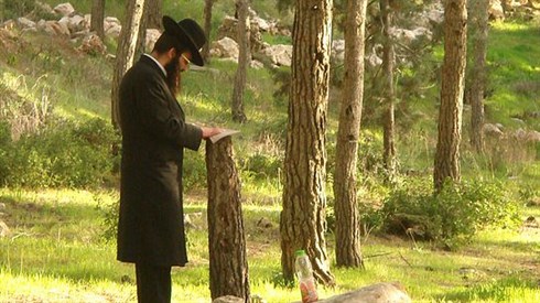 להיות צדיק גם בעיני השכן!