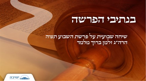 תצוה.jpg